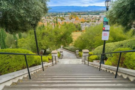 473 Tower Hill Avenue, San Jose, 加州 95136, 美國