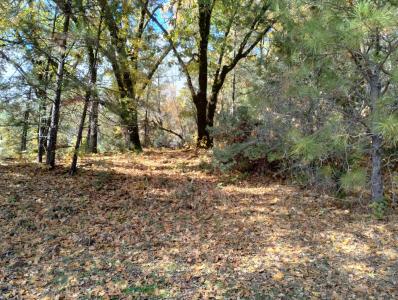 15814 Auburn Road, Grass Valley, Califórnia 95949, Estados Unidos