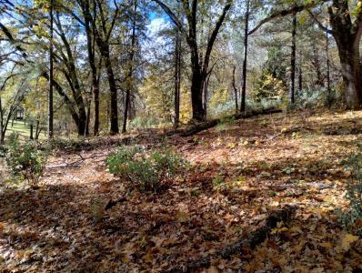 15814 Auburn Road, Grass Valley, Калифорния 95949, Соединенные Штаты