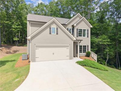 382 Candler Lane, Dawsonville, גאורגיה 30534, ארצות הברית של אמריקה