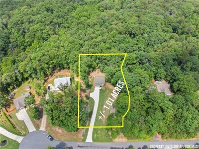 382 Candler Lane, Dawsonville, גאורגיה 30534, ארצות הברית של אמריקה