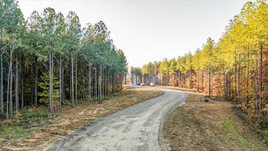 0 Legacy Drive, Guild, Tennessee 37340, États-Unis