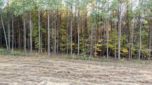 0 Legacy Drive, Guild, Tennessee 37340, États-Unis