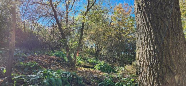 PLAN 4A BLK 3 LOT 10 MILL STREET, Amaranth, Ontario L9W 3Z3, Kanada