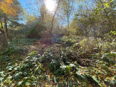 PLAN 4A BLK 3 LOT 10 MILL STREET, Amaranth, Ontario L9W 3Z3, Canadá