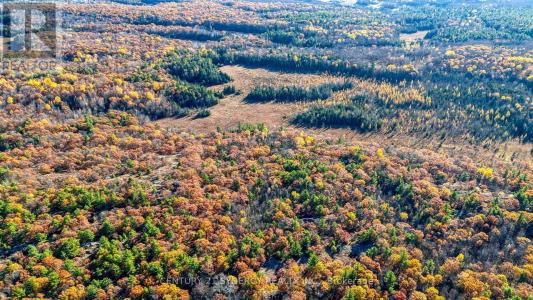 1534 ARDOCH ROAD, Frontenac (frontenac Centre), Ontario K0H 1J0, Canada