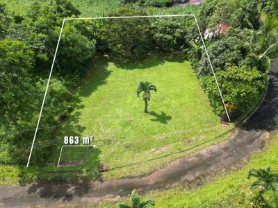 Florencia San Carlos, Alajuela 21002, Costa Rica