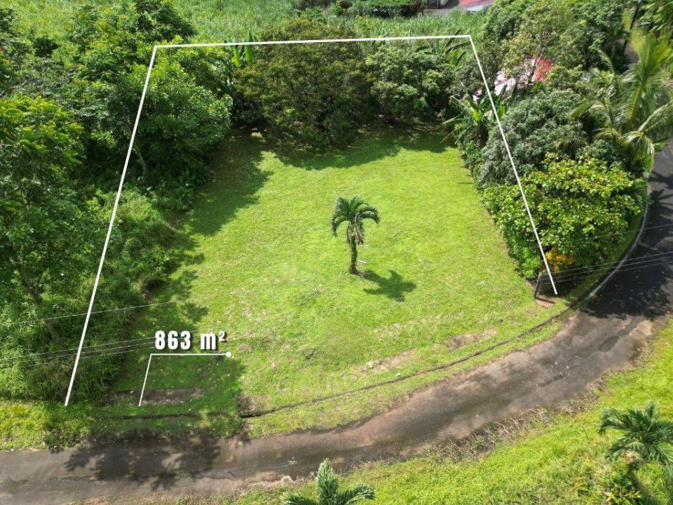 Florencia San Carlos, Alajuela 21002, Costa Rica