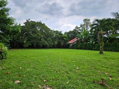 Florencia San Carlos, Alajuela 21002, Costa Rica