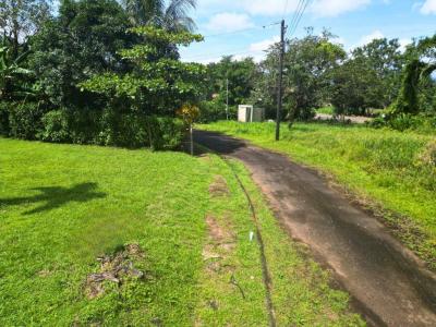 Florencia San Carlos, Alajuela 21002, Costa Rica