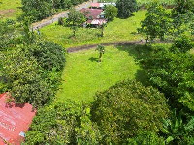 Florencia San Carlos, Alajuela 21002, Costa Rica