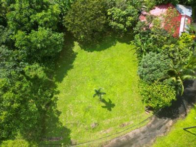 Florencia San Carlos, Alajuela 21002, Costa Rica