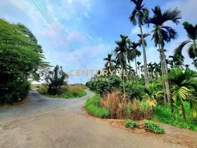 新三界埔段, 水上鄉, 嘉義縣 608, 台灣