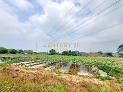 新三界埔段, Shuishang بلدة, مقاطعة تشيايي 608, تايوان