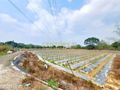 新三界埔段, Shuishang بلدة, مقاطعة تشيايي 608, تايوان