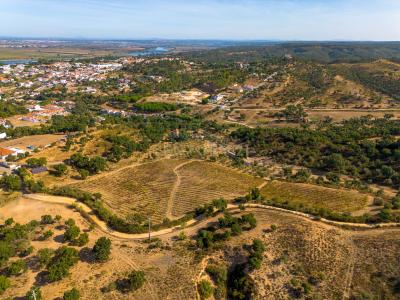 Chamusca, Santarém 2140-010, Portugal