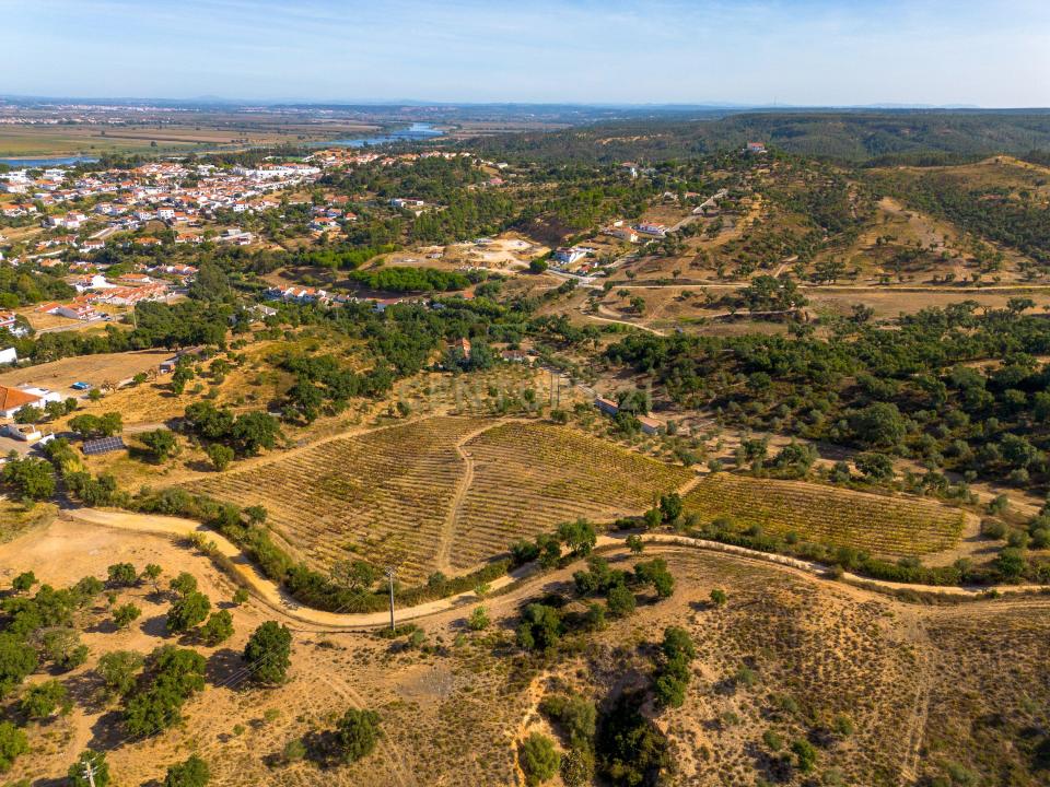 Chamusca, Santarem 2140-010, Portugal