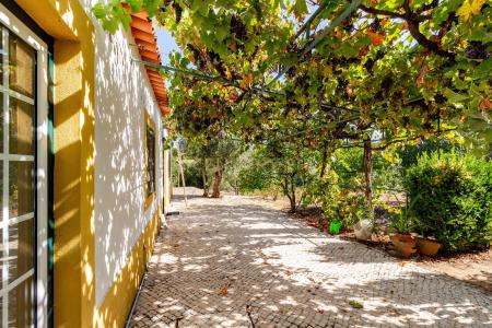 Chamusca, Santarem 2140-010, Portugal