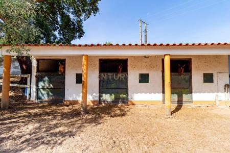 Chamusca, Santarem 2140-010, Portugal