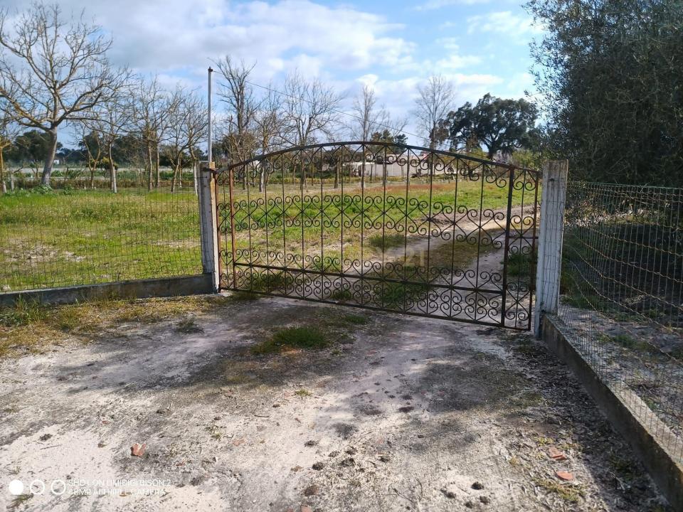 Salvaterra De Magos, Santarem 2125-138, Portugal