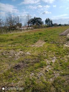 Salvaterra De Magos, Santarem 2125-138, Portugal