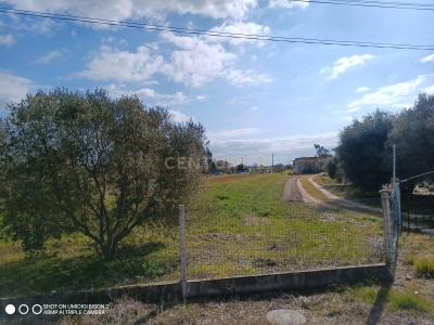 Salvaterra De Magos, Santarem 2125-138, Portugal