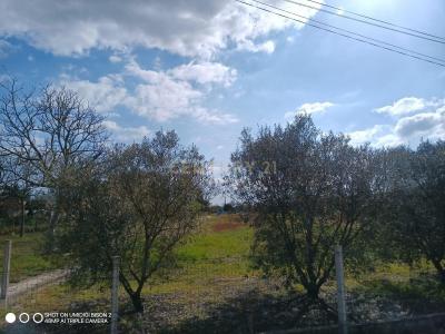 Salvaterra De Magos, Santarem 2125-138, Portugal