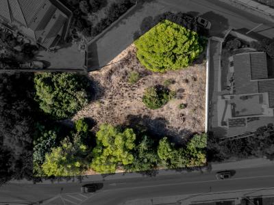 Lagoa, Faro 8400-121, Portugal