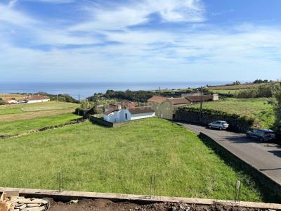 Nordeste, São Miguel Island 9630-070, Portugal