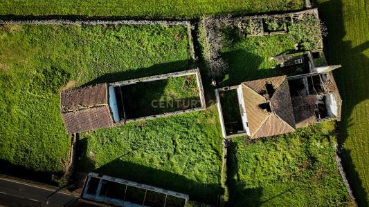 Ribeira Grande, サンミゲル島 9600-219, ポルトガル