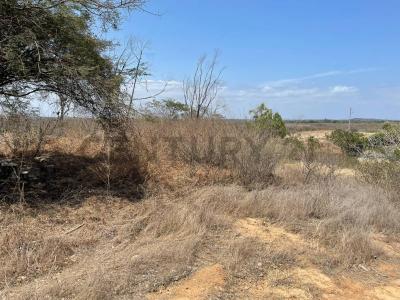 Fincas Colinas del Pacífico, Km 87 Vía Progreso Playas, Lote 35, Playas, Guayas 00001, Ecuador