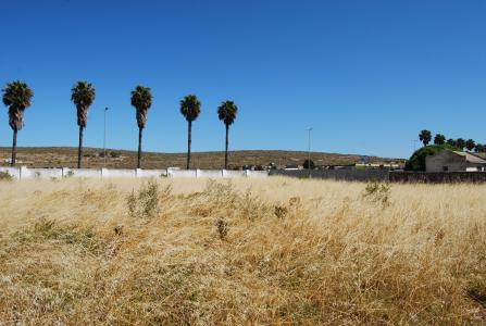 Saldanha, Western Cape, South Africa
