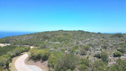 Knysna, Western Cape, South Africa