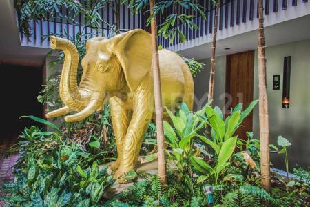 Hotel and Residences Sin numero,, Solidaridad / Riviera Maya, Quintana Roo 77710, Mexico