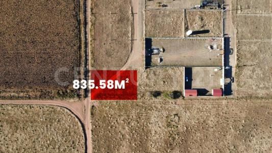 fraccion de la parcela 356 Z-1 P 1-1 Ejido Anahuac s/n,, Cuauhtémoc, Chihuahua 31600, Mexico