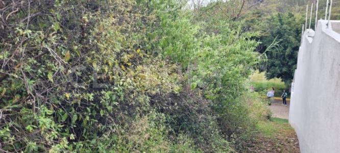 Lomas de la Azucena S/N,, Oaxaca De Juárez, Oaxaca 68040, Mexico