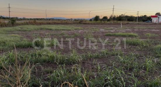 Casas Grandes, Chihuahua 31850, Meksyk