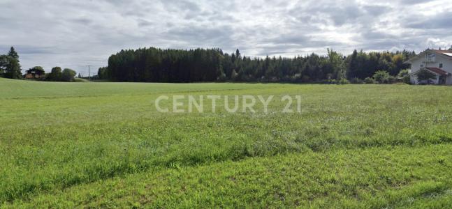 Obing, Bayern 83119, Germany