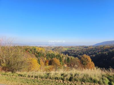 Ruše, Log, Ruše, Podravska 2345, Slovenia