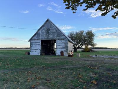 11413 W. US Highway 22, Williamsport, 오하이오 43154, 미국