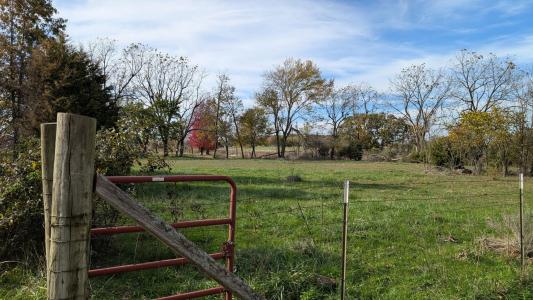 23495 Lawrence 2200, Marionville, מיזורי 65705, ארצות הברית של אמריקה