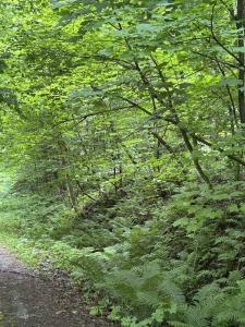 680 Deming Road, Enosburg, Vermont 05450