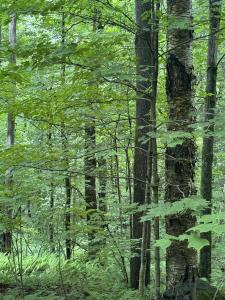 680 Deming Road, Enosburg, Vermont 05450