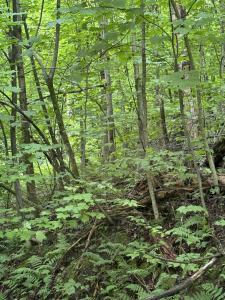 680 Deming Road, Enosburg, Vermont 05450