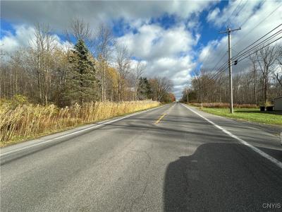 County Route 4, Oswego, New York 13126, Stati Uniti