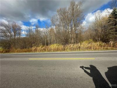 County Route 4, Oswego, New York 13126, Stati Uniti