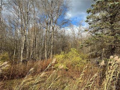 County Route 4, Oswego, New York 13126, Stati Uniti