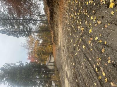 NNA (.393 ac.) 2nd St, Priest River, Idaho 83856