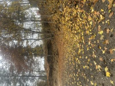 NNA (.393 ac.) 2nd St, Priest River, Idaho 83856