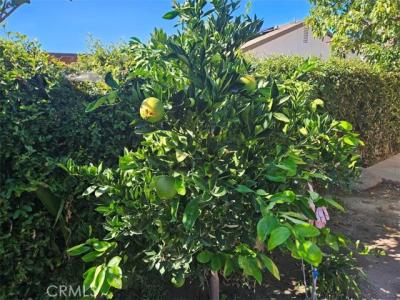 436 Buckingham, San Jacinto, California 92583